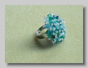 Strahlenring 532 Details (CIMG3335)